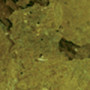Omega One Kelp Flakes 28 гр.